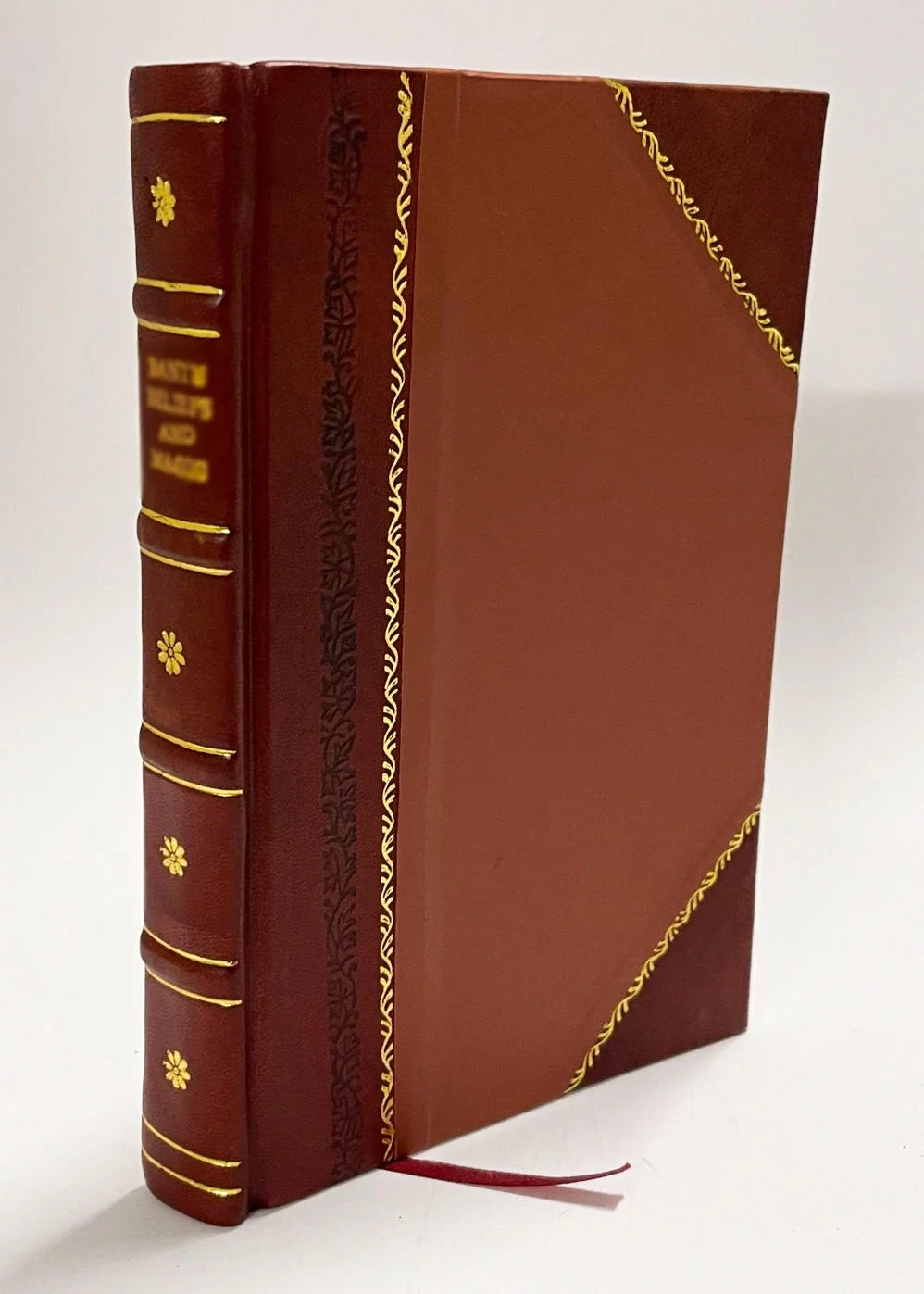Dialogus De Ludo Disculorum Leather Bound A56685