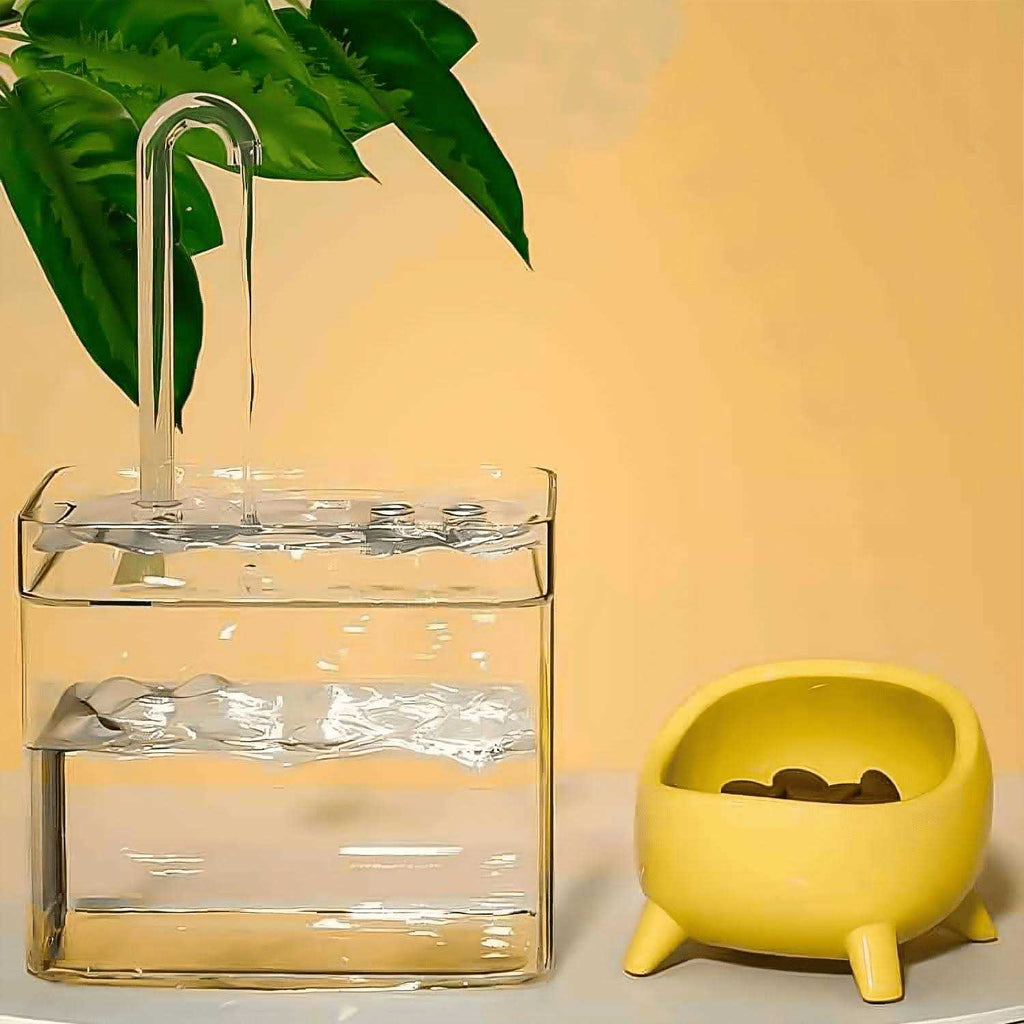 50oz Automatic Pet Water Fountain with Filters G151243