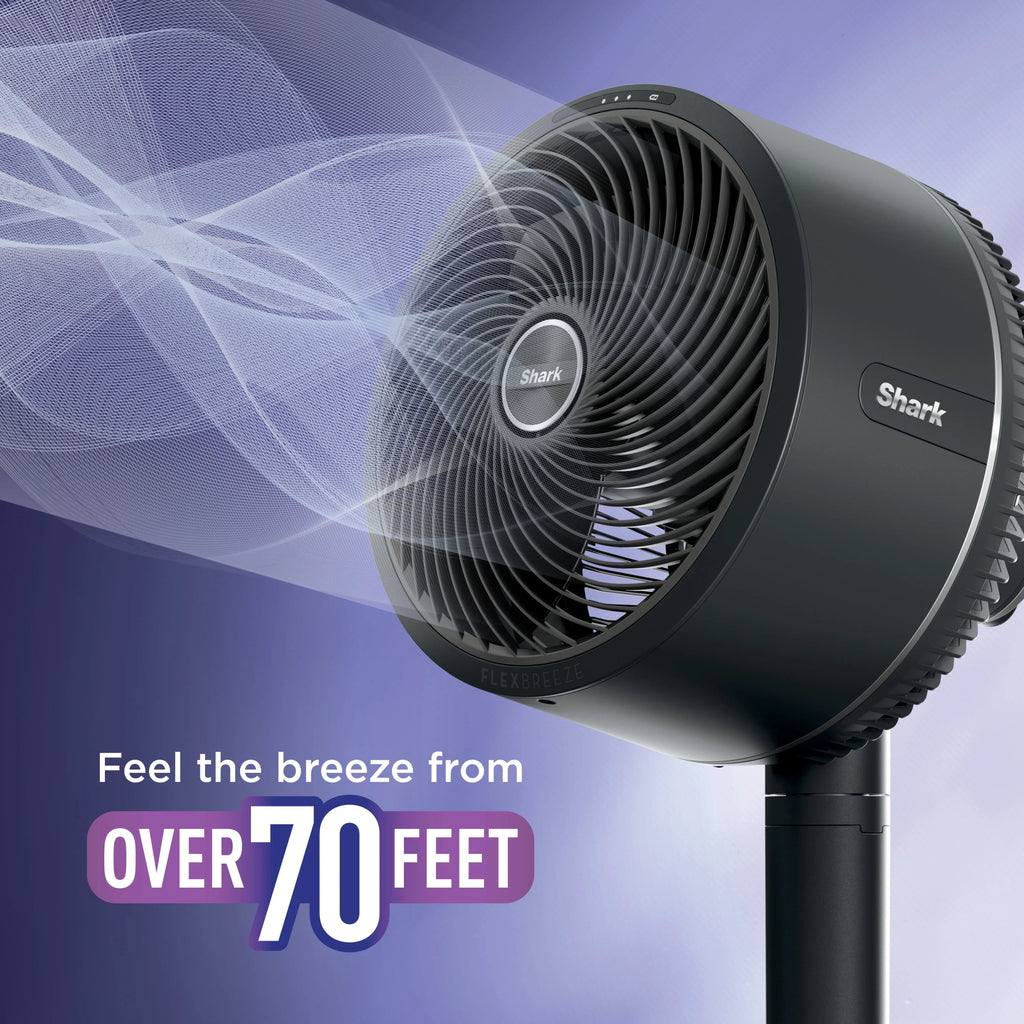 Cordless & Corded Indoor Outdoor Fan S943