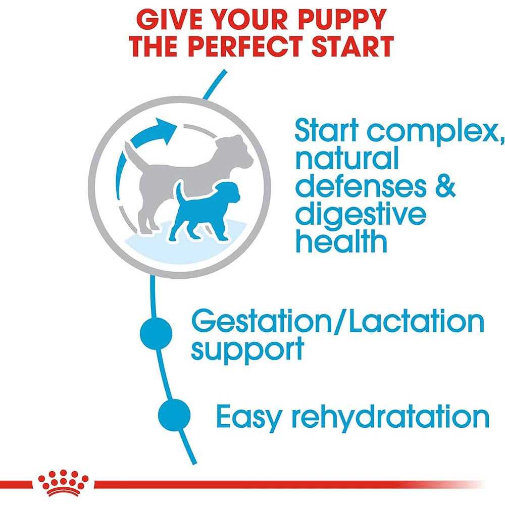 Small Starter Dry Dog Food M6208