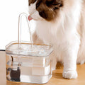 50oz Automatic Pet Water Fountain with Filters G151243