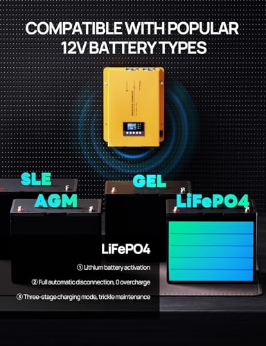 3000W 12V Pure Sine Wave Inverter Charger P15250