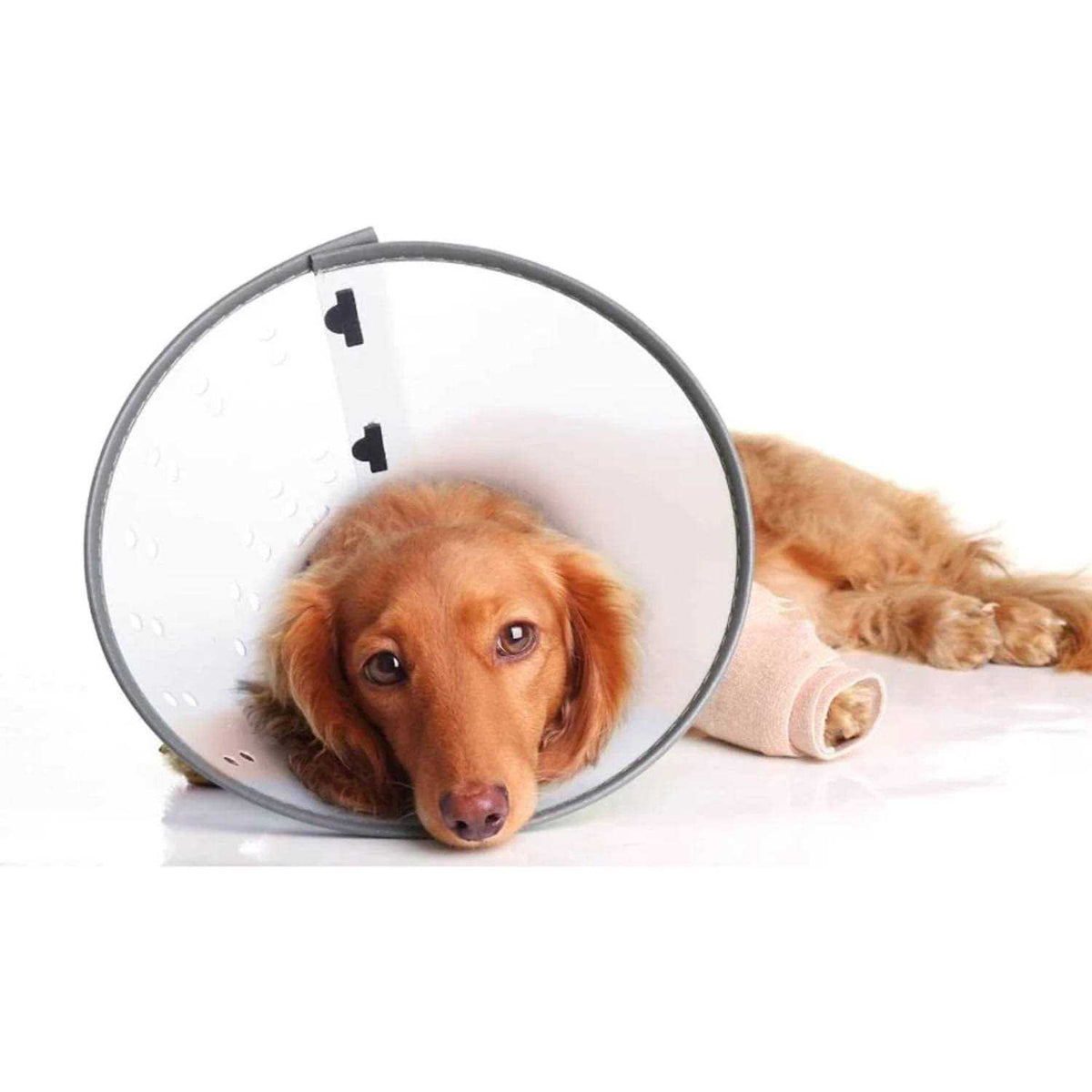 XL E-Collar H62975
