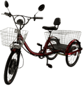 Adult Electric Tricycles G301