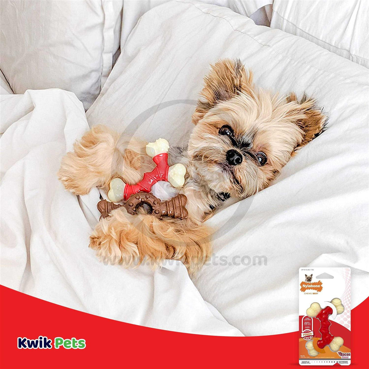 Double Bone Bacon Petite Pet Chew W56785