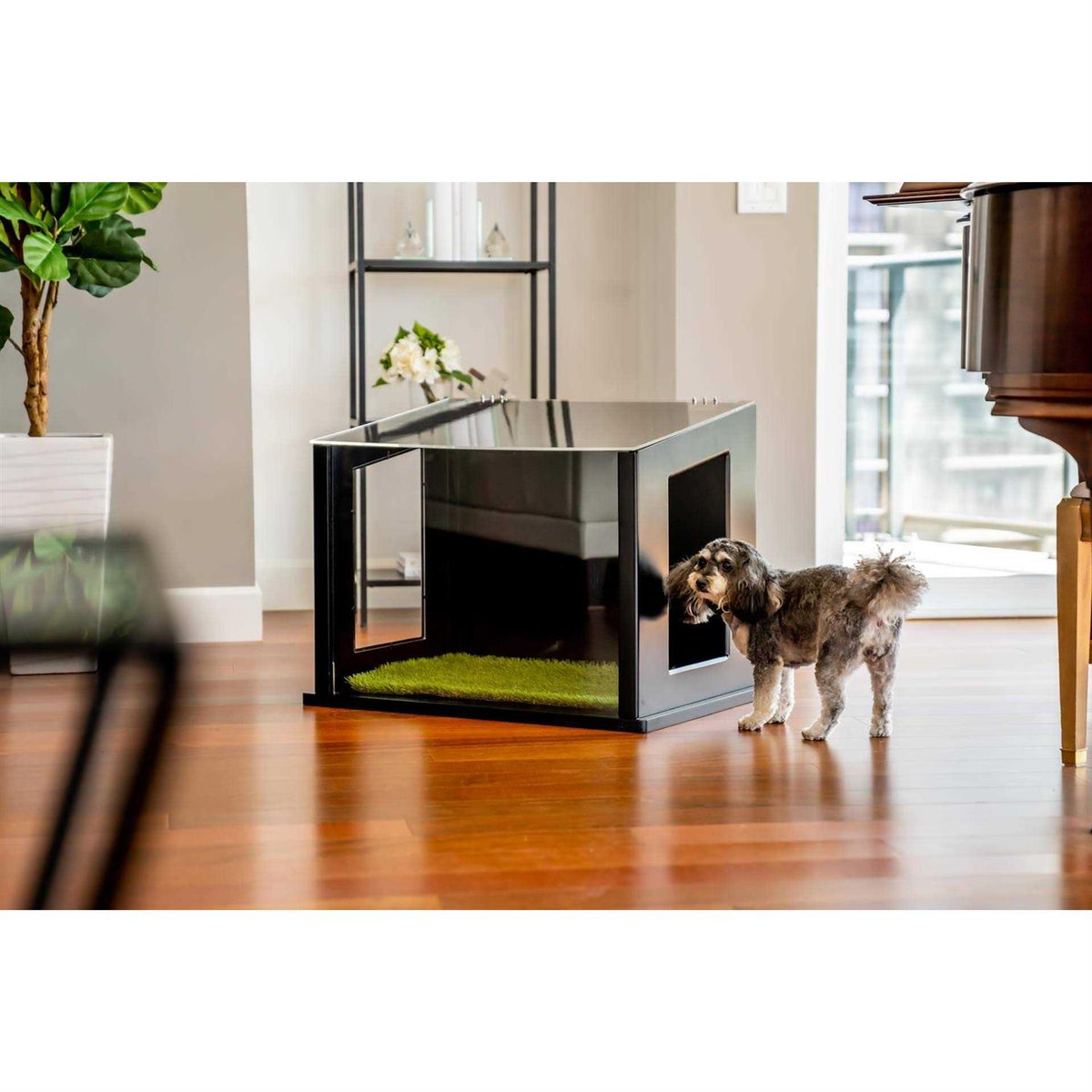 Dog or Cat Potty G97378