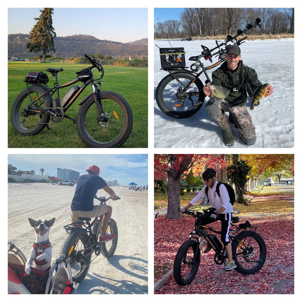 48V 13AH 750W 26 4.0 inch Fat Tire Electric Mountain Bike E67782