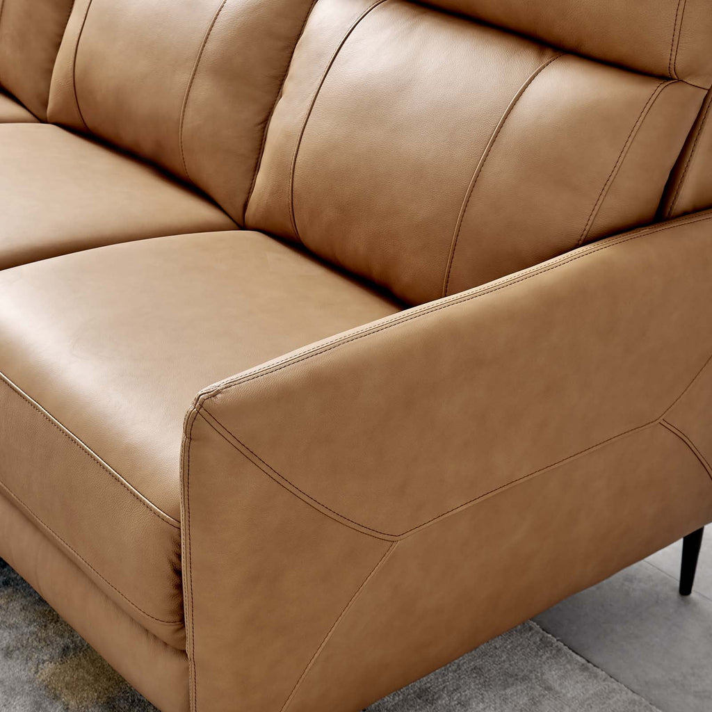 Tan Leather Sofa Y351076