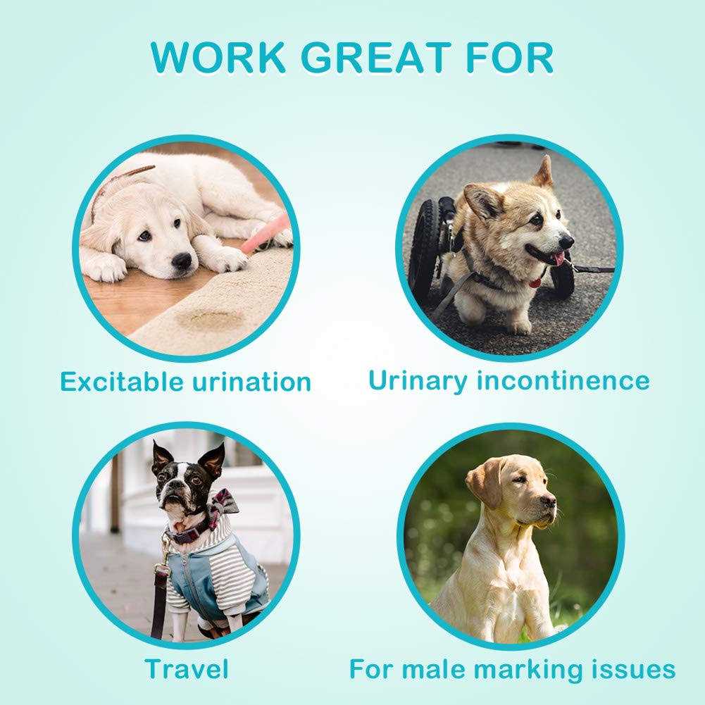 Absorbent Male Dog Wraps Belly Bands with Leak Protection A913690