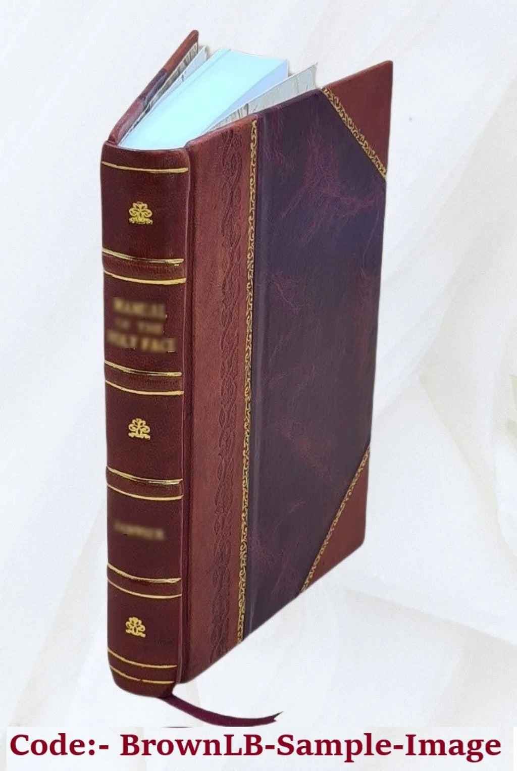 1915 Leather Bound R42248