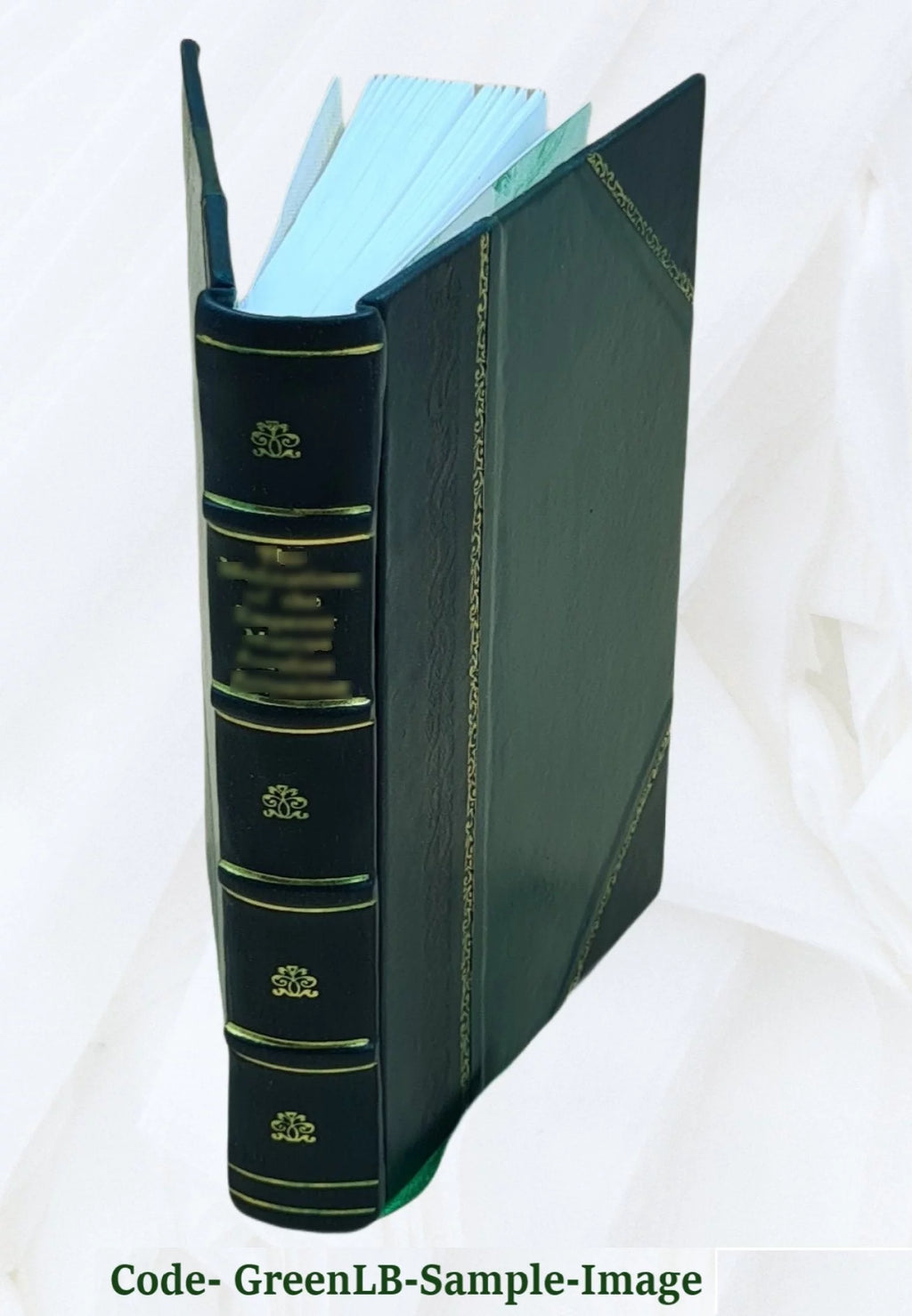 1919 Leather Bound Novel C5534