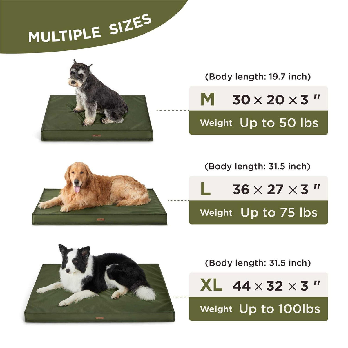 Waterproof Oxford Fabric Dog Bed W255199