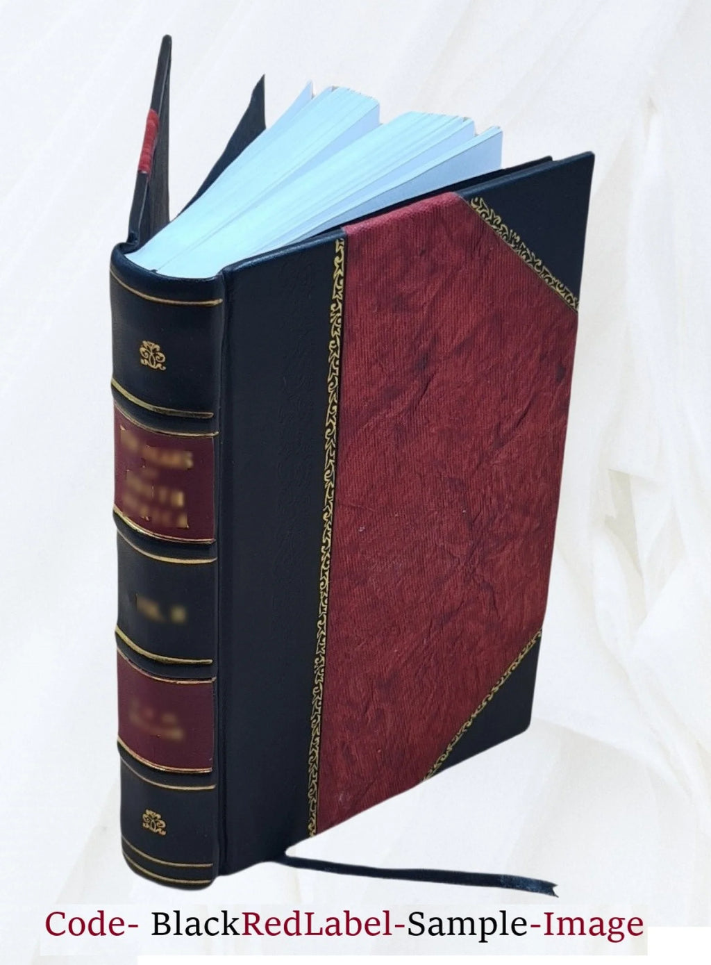 1915 Leather Bound R42248